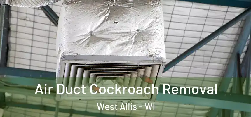 Air Duct Cockroach Removal West Allis - WI