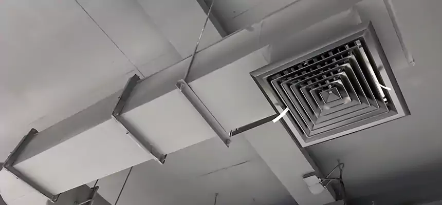 Our Pest Removal From Ducts Services in West Allis, WI