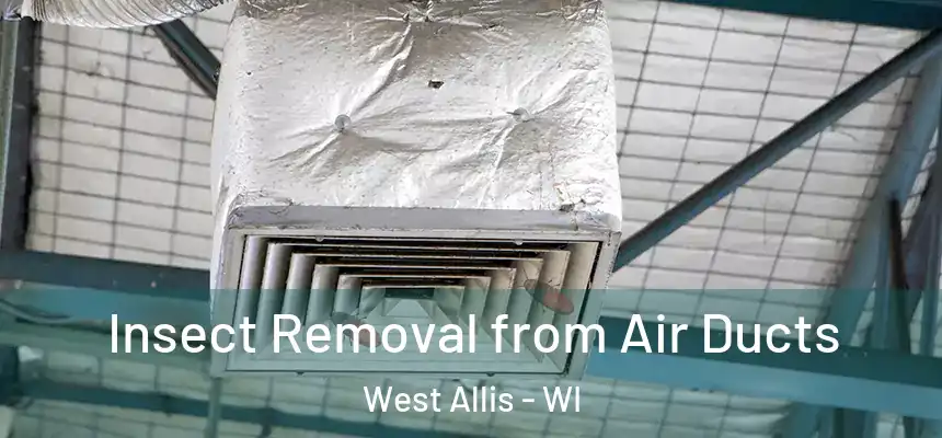  Insect Removal from Air Ducts West Allis - WI