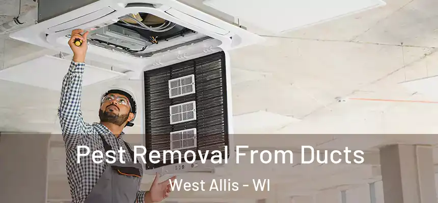Pest Removal From Ducts West Allis - WI