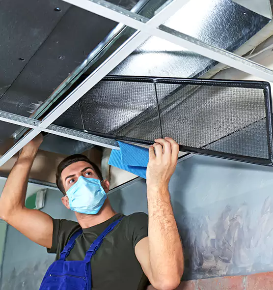 Professional Air Duct Pollen Cleaning in West Allis, WI