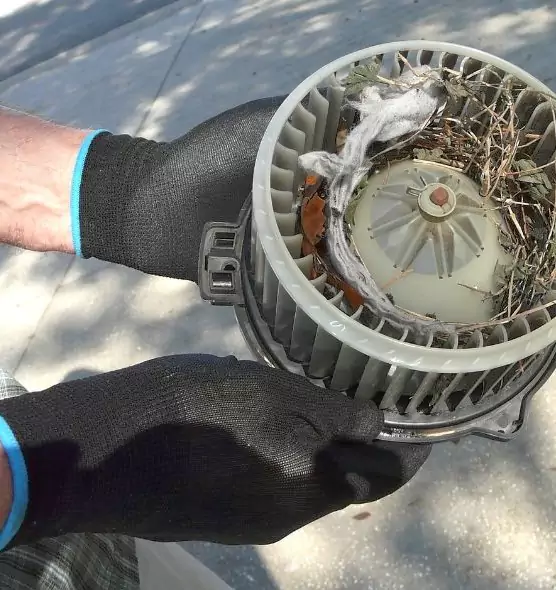 About Air Duct Rat Removal in West Allis, WI