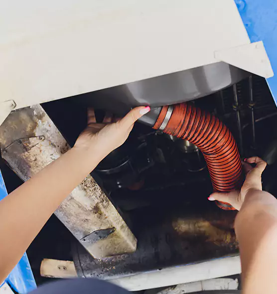 About Air Duct Virus Disinfection in West Allis, WI
