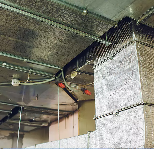 Why Homeowners & Businesses Trust Us in West Allis, WI?