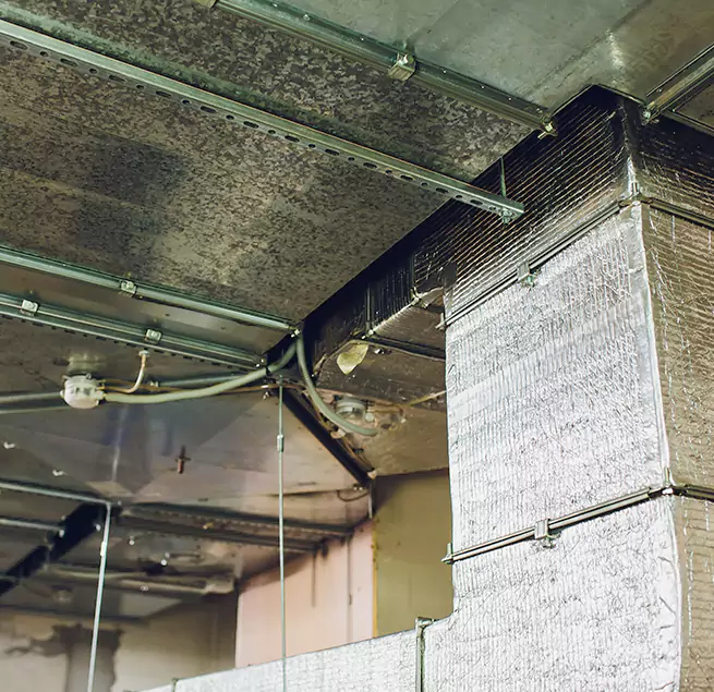 Why Homeowners & Businesses Trust Us in West Allis, WI?